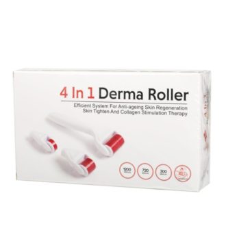 4 in 1 Derma Roller Set