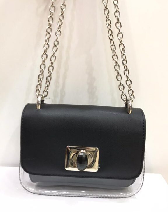 Transparent Frame Long Chain Side Bag