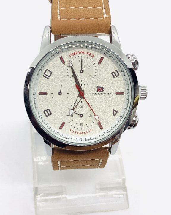 PASSBIRD Time Walker SL 8153 Water Resistance Watch